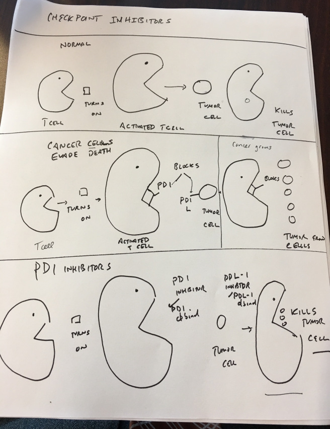 drawing comparing pac-man to T cells in fighting cancer