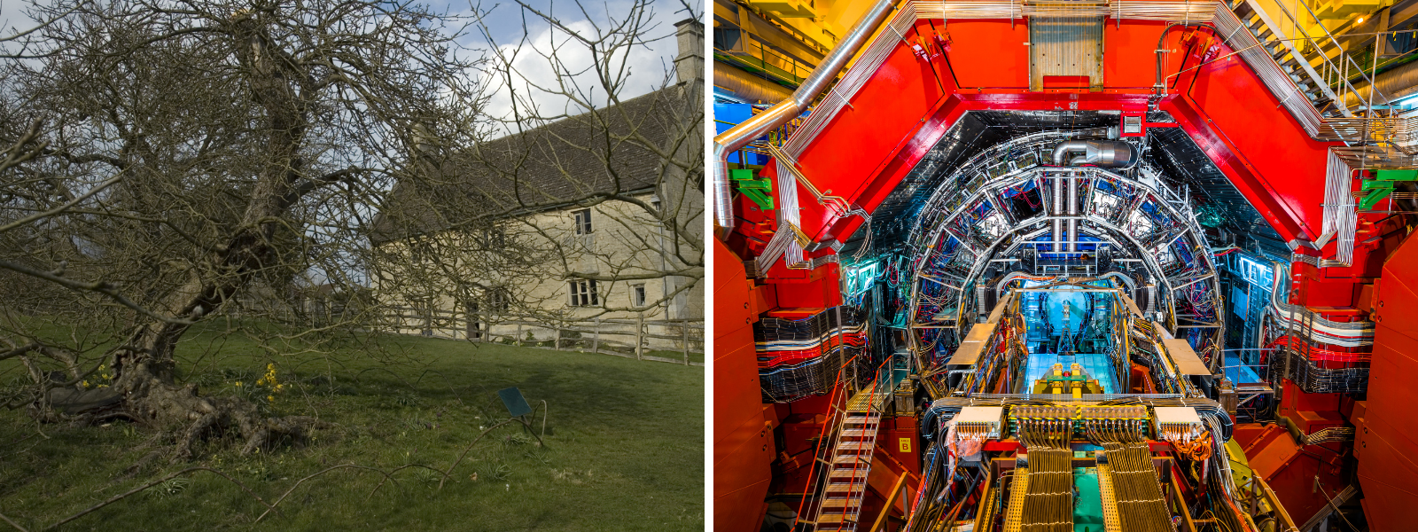 photos of Newton's apple tree and the CERN particle accelerator