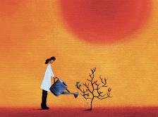 Graphic of doctor watering a small tree