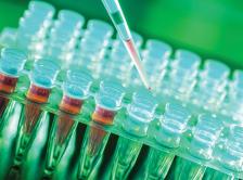 Stock image of test vials